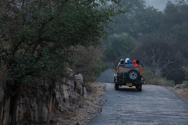 Safari gypsy driving through the dry forest of Ranthambore National Park