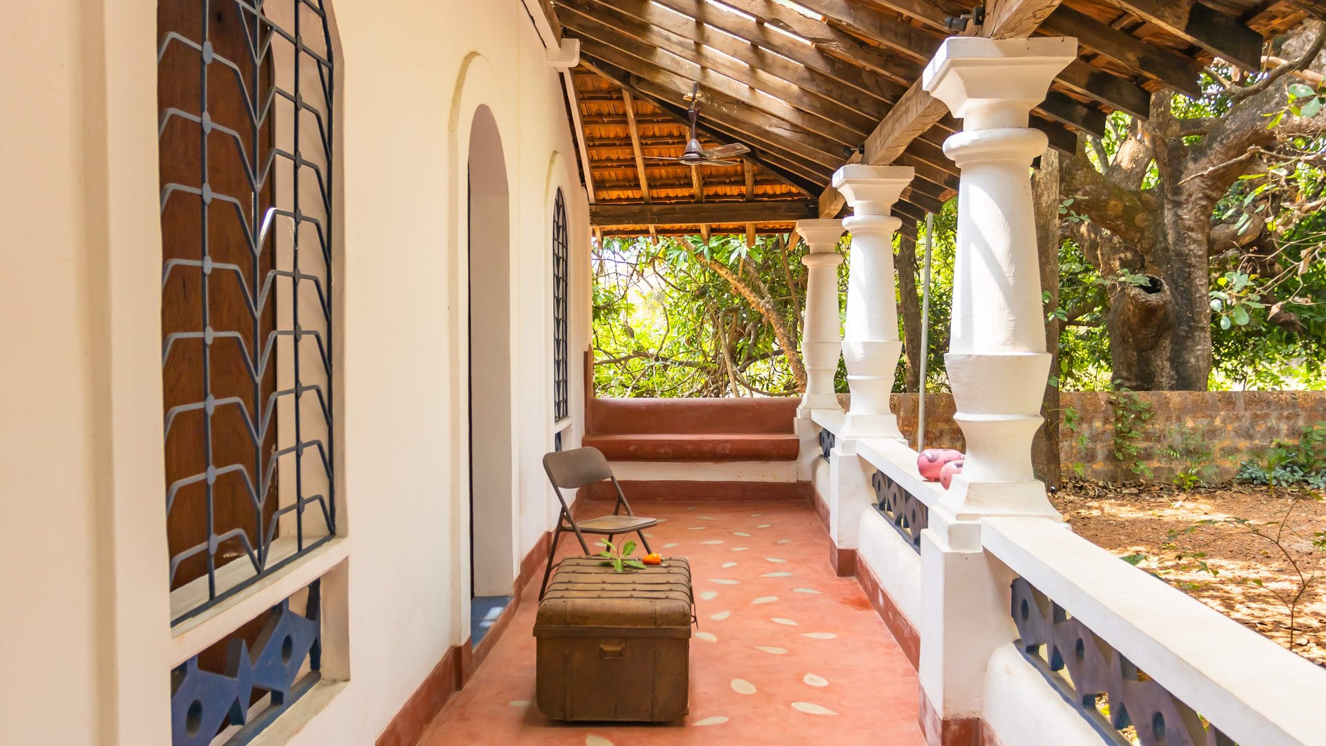 Seclude Falling Cashews