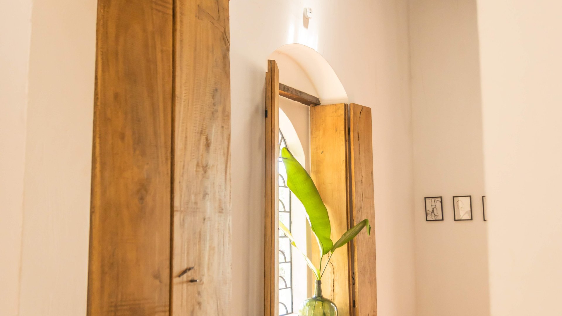 Seclude Falling Cashews