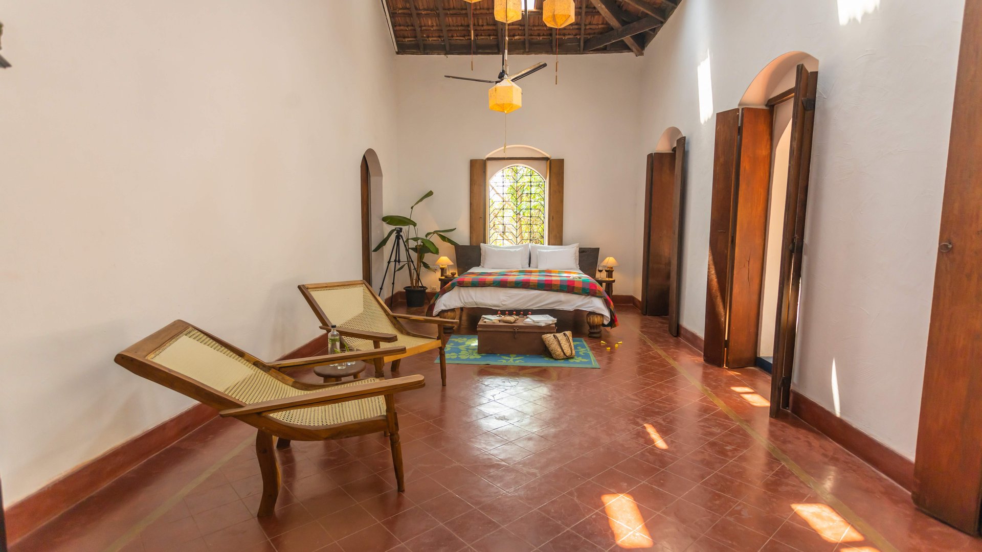 Seclude Falling Cashews