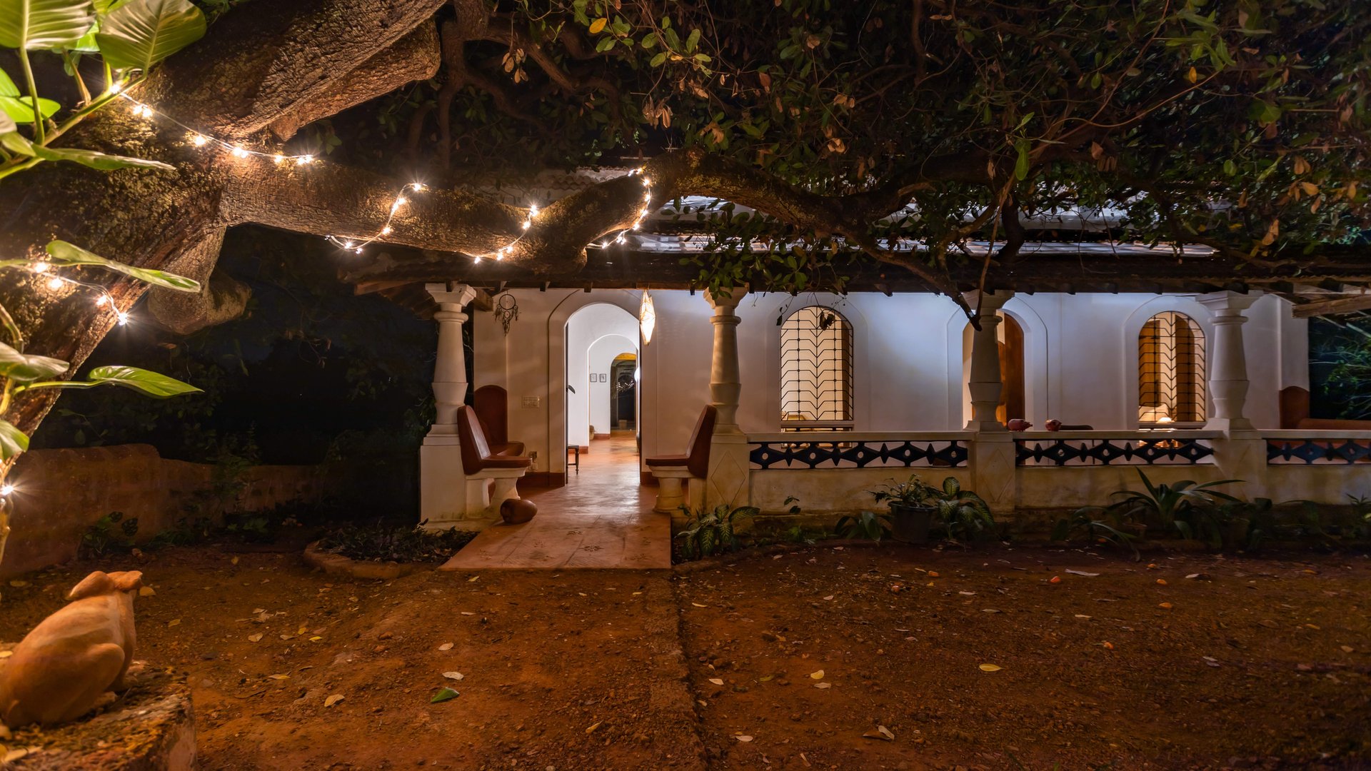 Seclude Falling Cashews