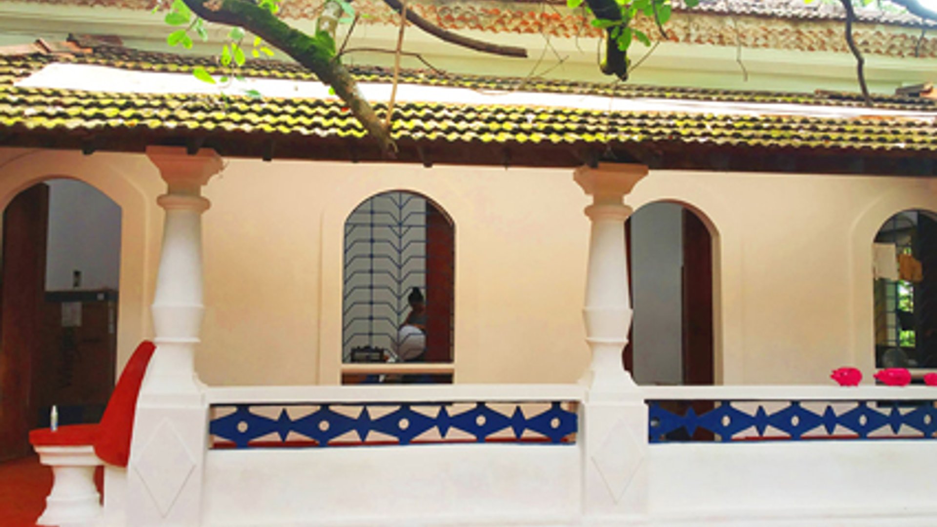 Seclude Falling Cashews